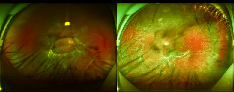 1669088606759962.png 微信截图_20221122114313.png