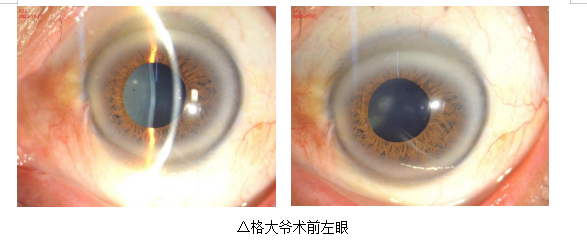 1703033695177571.png image.png